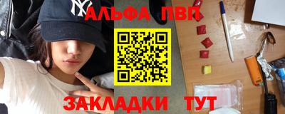 СК Новодвинск