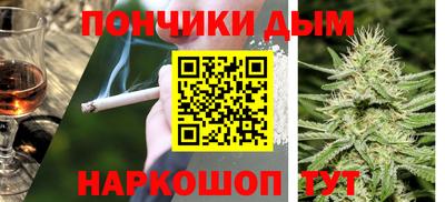 СК Новодвинск