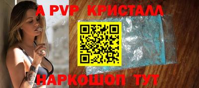 СК Новодвинск