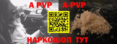 СК Новодвинск