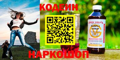 СК Новодвинск