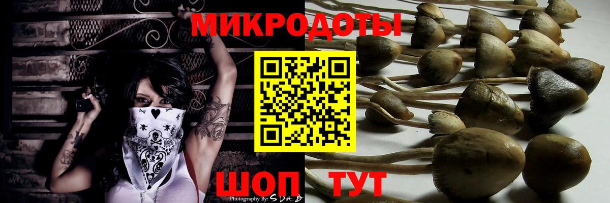 Галлюциногенные грибы Psilocybine cubensis Унеча