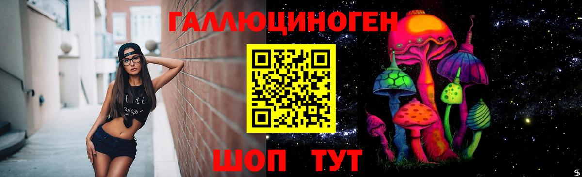 Унеча  Псилоцибиновые грибы Magic Shrooms  Вход с VPN 